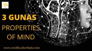 triguna ayurveda sattvic diet-min