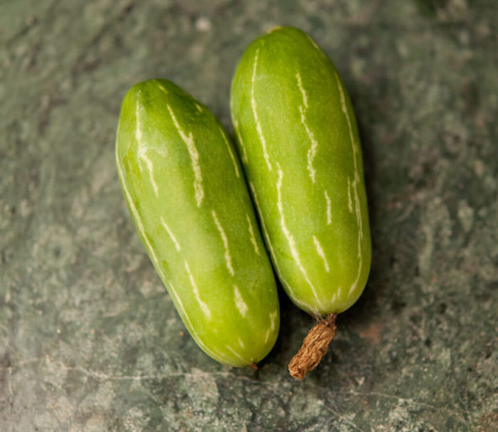 Tindora Ivy Gourd Benefits Nutrition Recipe Medhya Herbals