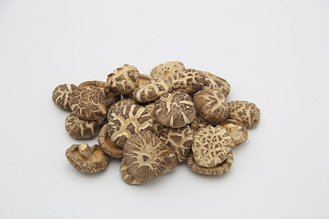 shiitake-mushroom-flower