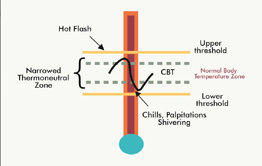 Body Core Temperature Control-min