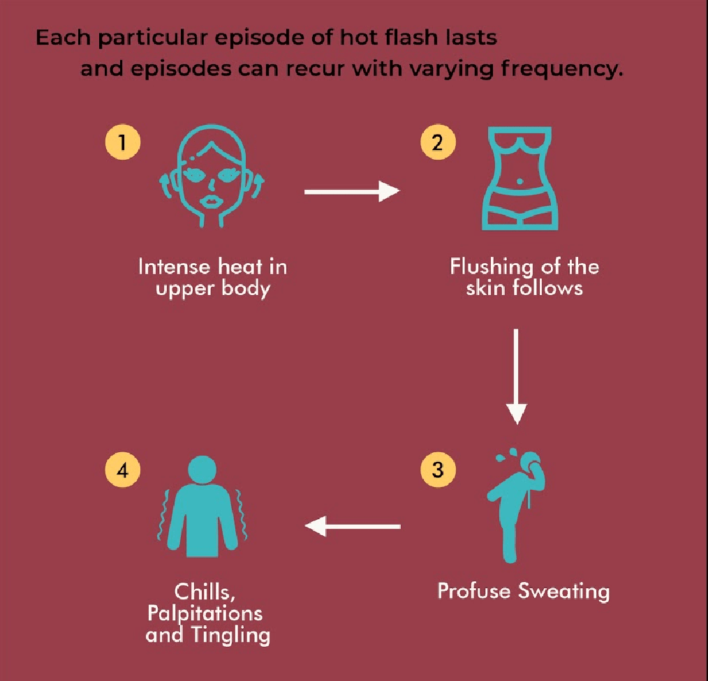 What happens during a hot flash-min