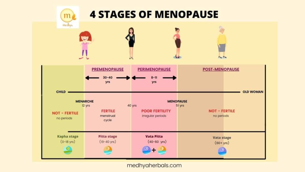 4 Stages of Menopause-min