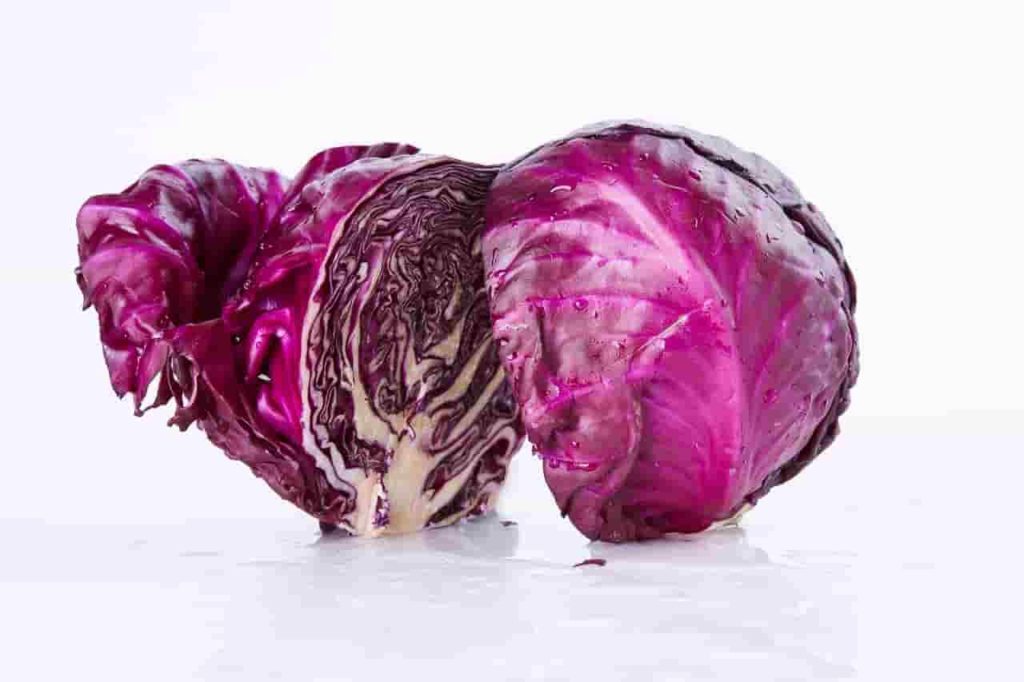 purple cabbage recipes - red cabbage-min