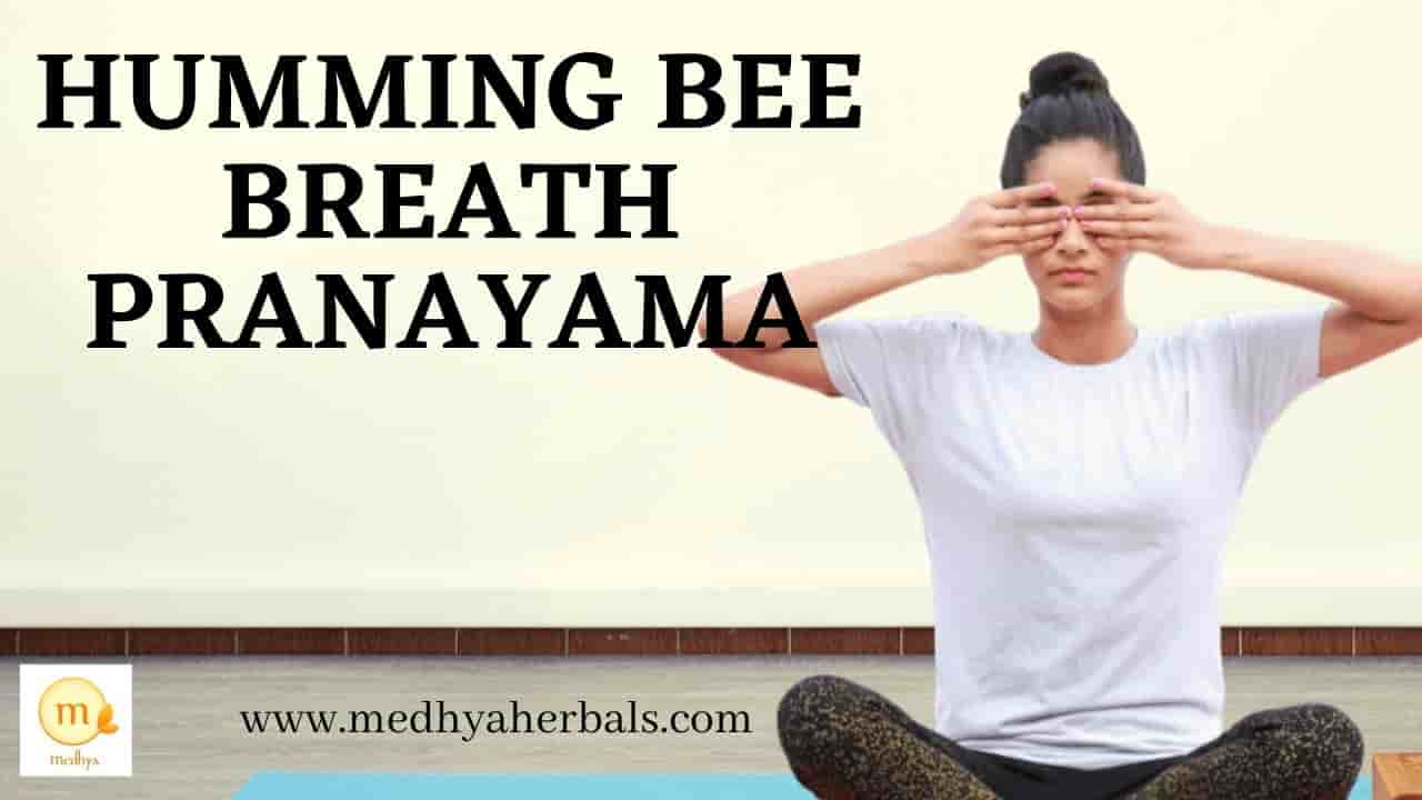 Brahmari Pranayama - Humming Bee Breath - Medhya Herbals