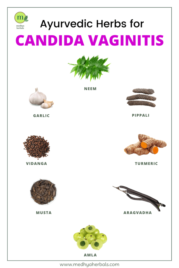Ayurvedic Herbs for Candida Vaginitis-min