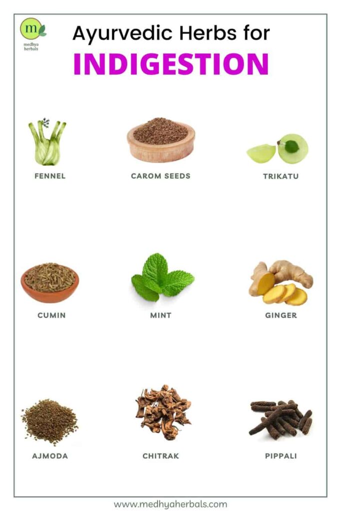 Ayurvedic Herbs for Indigestion-min