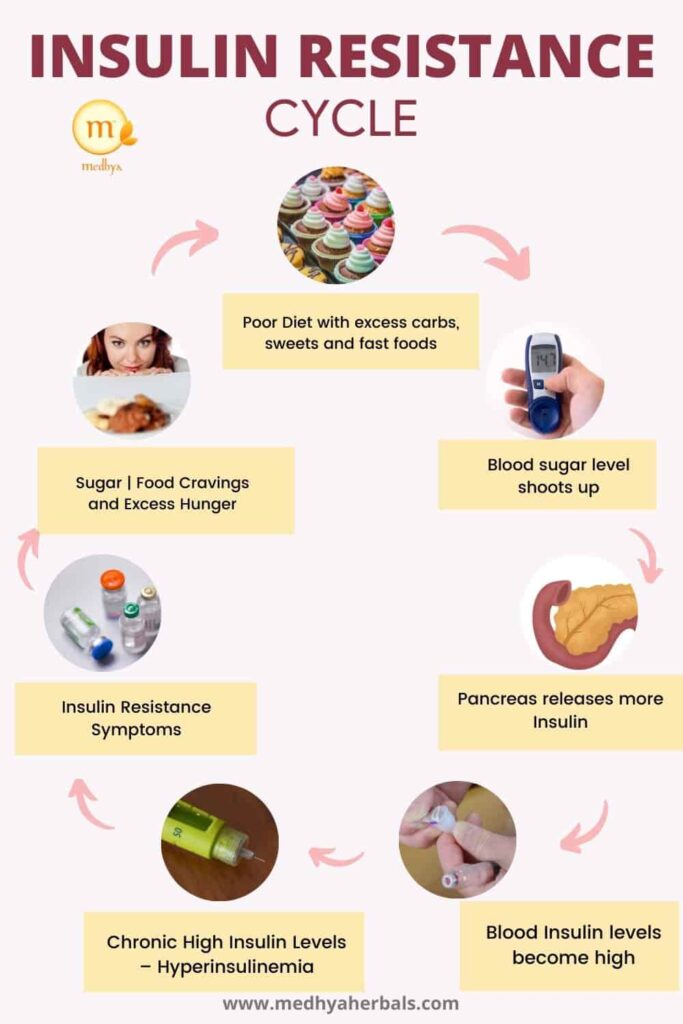 Insulin resistance cycle-min