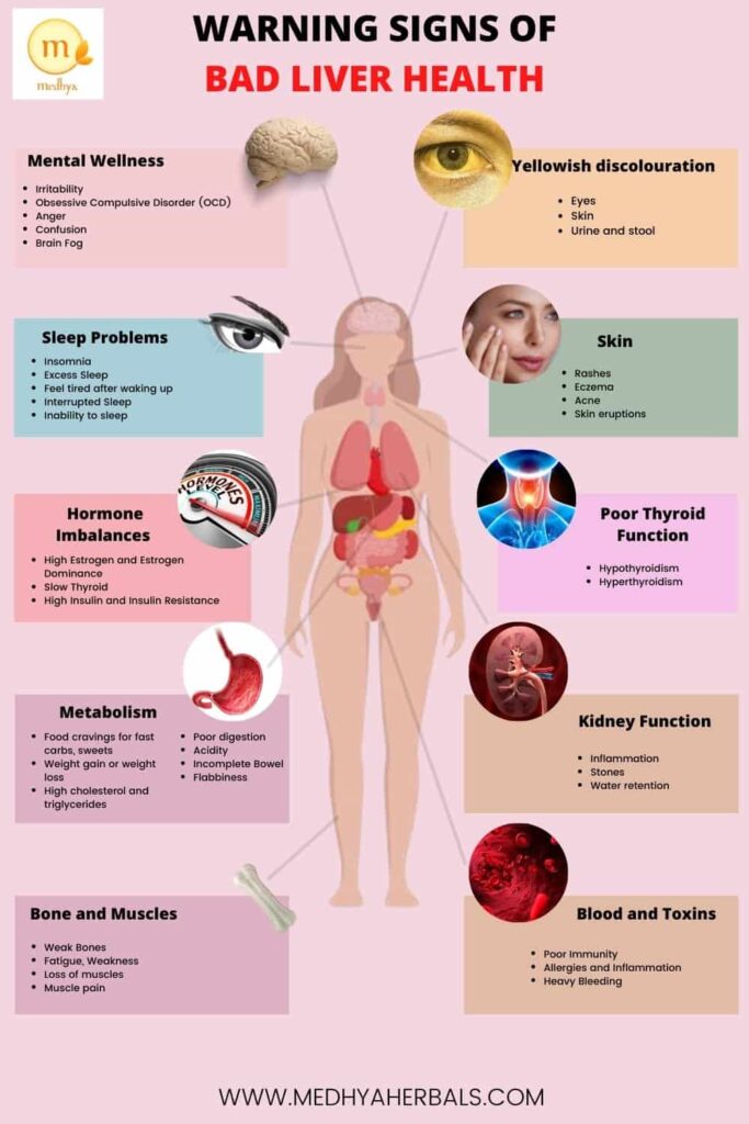 Warning Signs of Bad Liver Health-Unhealthy Liver-min