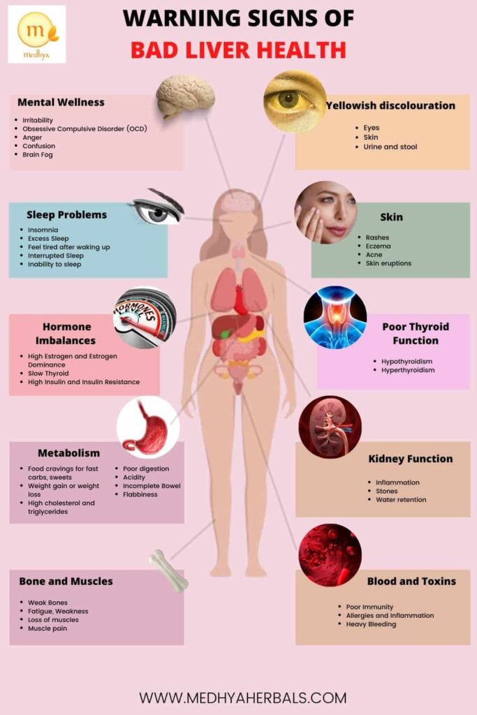 How To Reverse Fatty Liver Disease 6 Amazing Natural Ways
