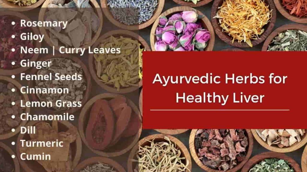 ayurvedic herbs for a healthy liver-min