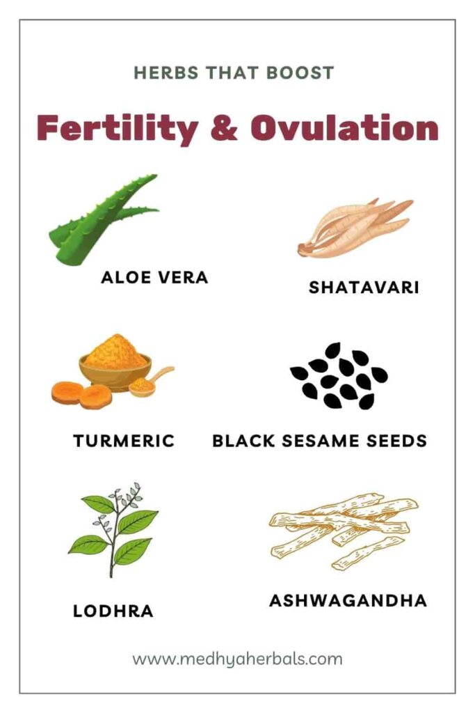 Ayurvedic Herbs for Fertility and Ovulation-min