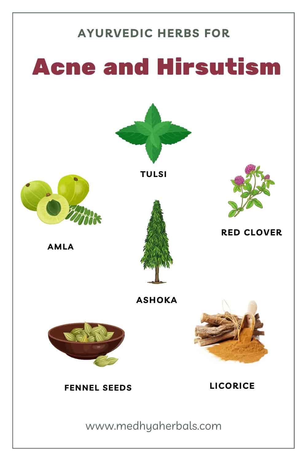 PCOS Ayurvedic Treatment | 17 Herbs and Natural Remedies for PCOD