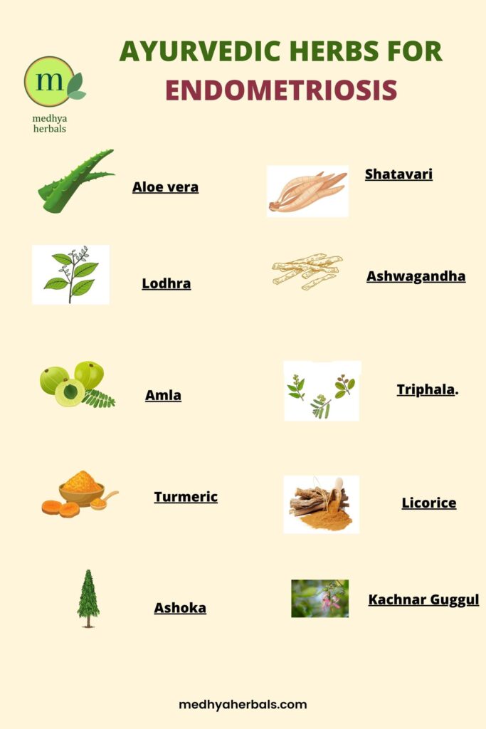 Ayurvedic Medicine for endometriosis Treatment