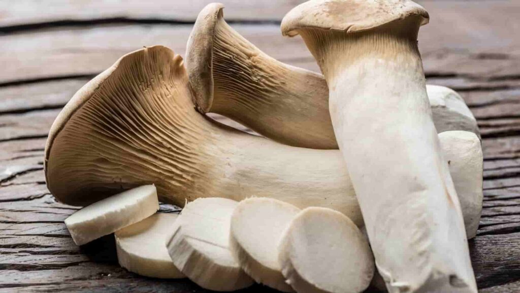 King Oyster Mushroom-min