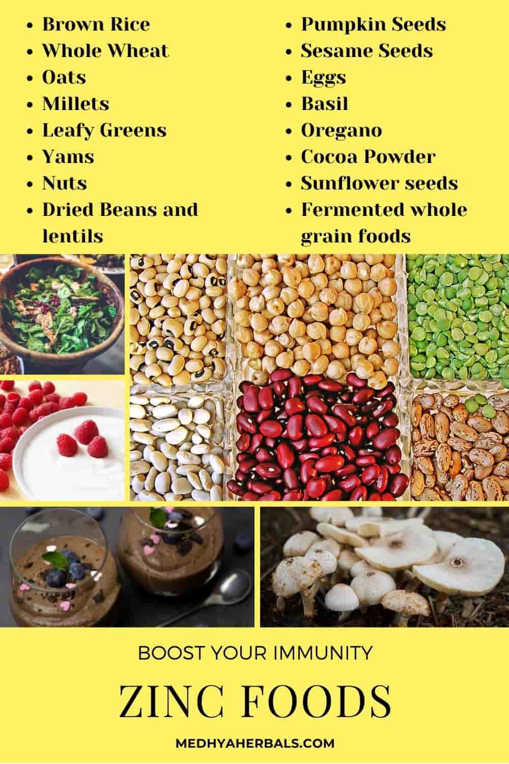13 Zinc Benefits For PCOS Hormone Balance Zinc Rich Foods For 