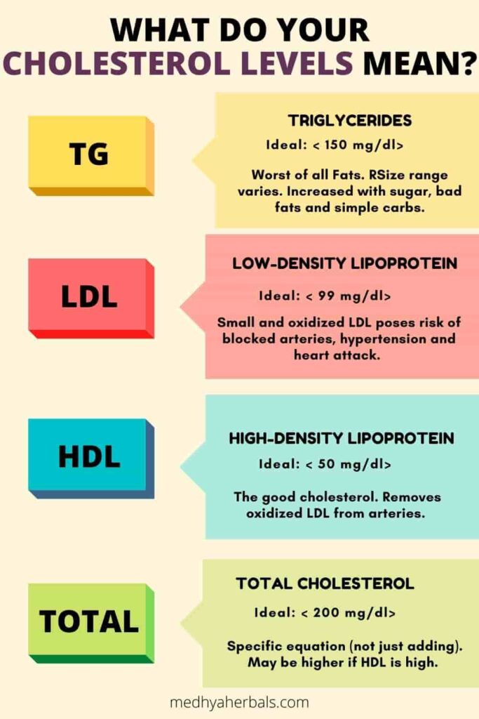 Cholesterol Levels Chart and Diagnosis-min