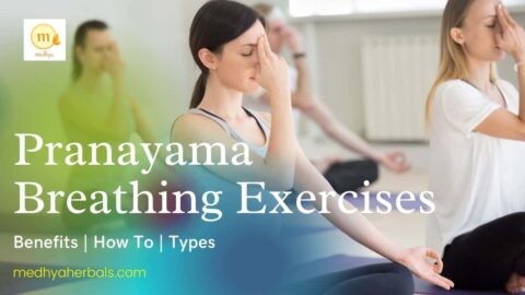 8 Types of Pranayama | Ayurvedic Deep Breathing Exercises (Guide)