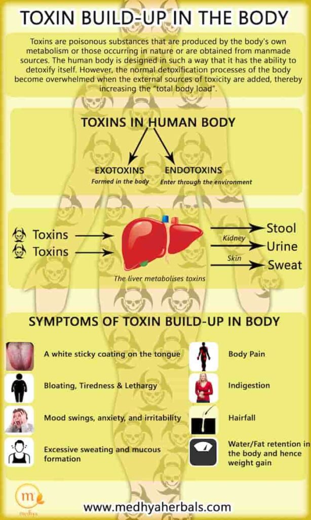 Toxin Buildup in Body-min