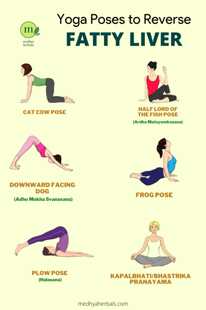 Showing fitness controversy and benefits of animal inspired yoga poses. |  Download Scientific Diagram