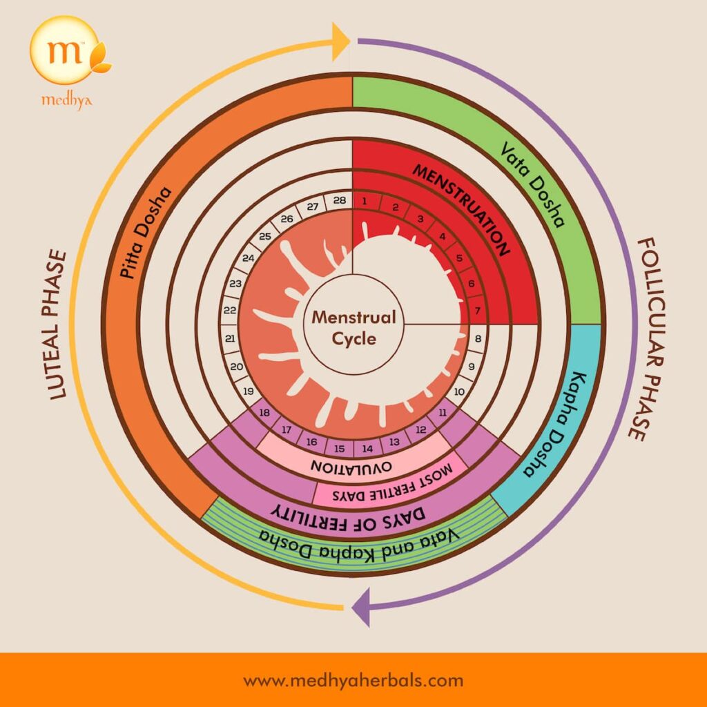 Menstrual Cycle-Irregular Periods-Ayurveda-min