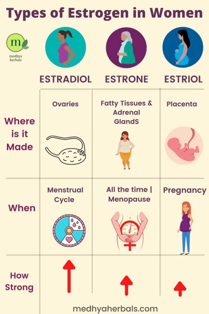 Types of Estrogen in Women-min