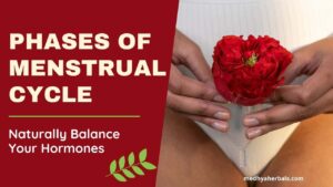 phases of menstrual cycle-hormone balance-naturally-min