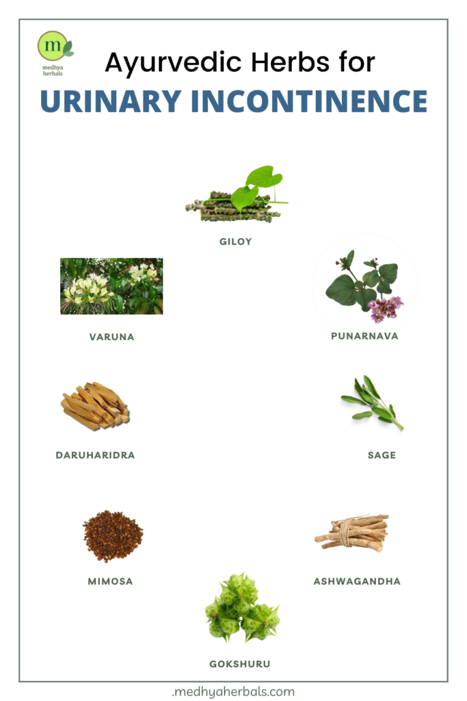 Ayurvedic Medicine Urinary Incontinence Herbs-min