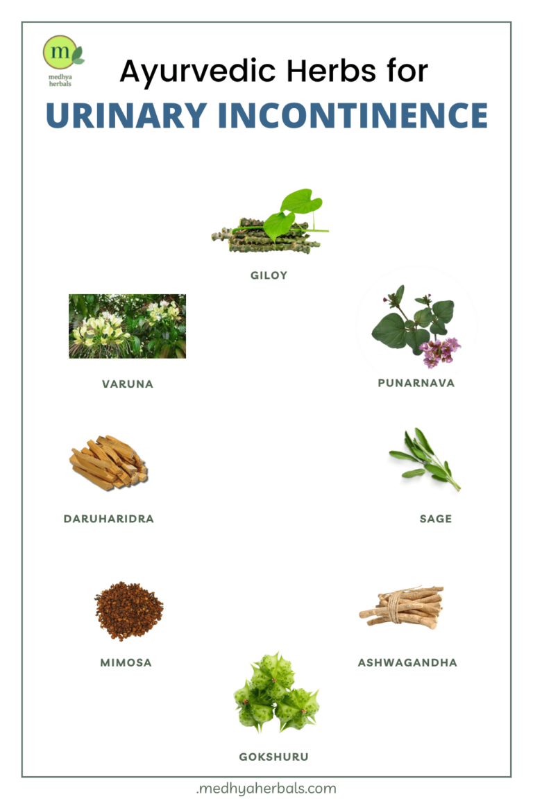 Urinary Incontinence | Ayurvedic Treatment for Overactive Bladder