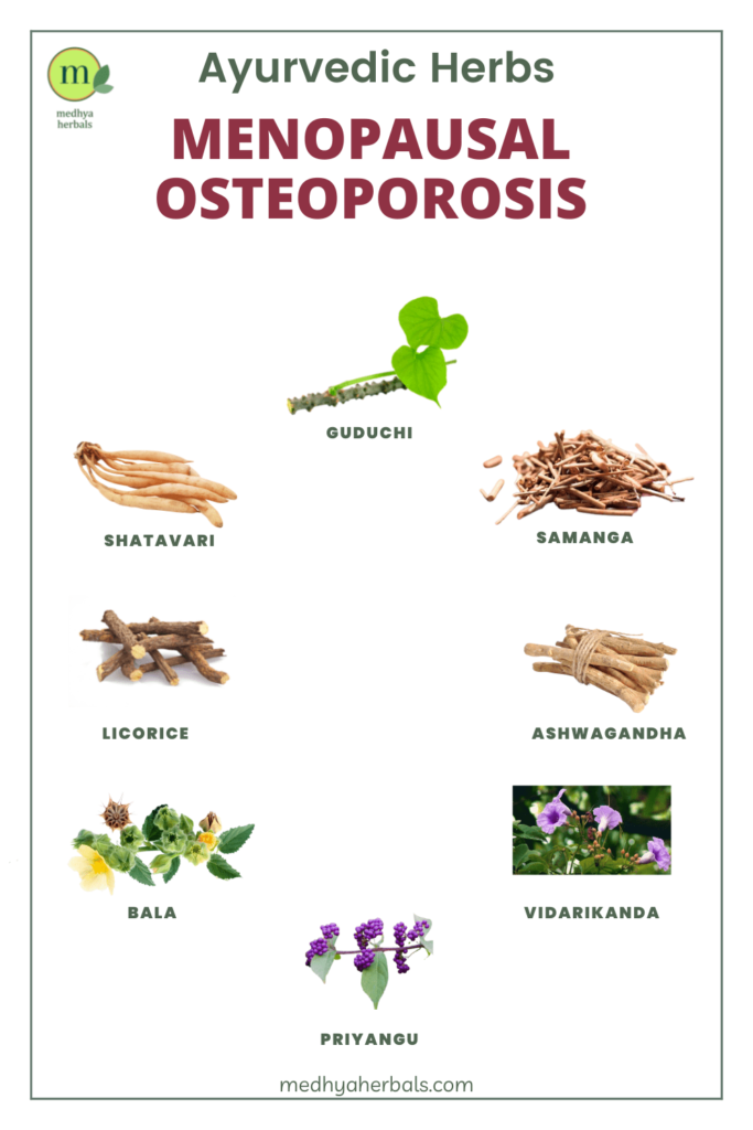 Ayurvedic Medicine for Menopausal Osteoporosis Herbs-min