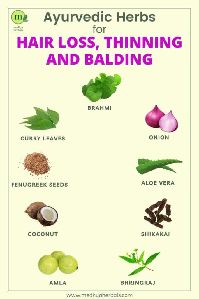 ayurvedic herbs for Hair Loss, Thinning and Balding-min