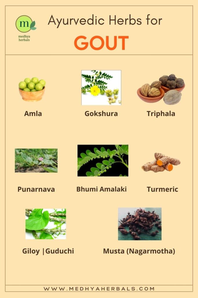 Ayurvedic Herbs for Gout-min
