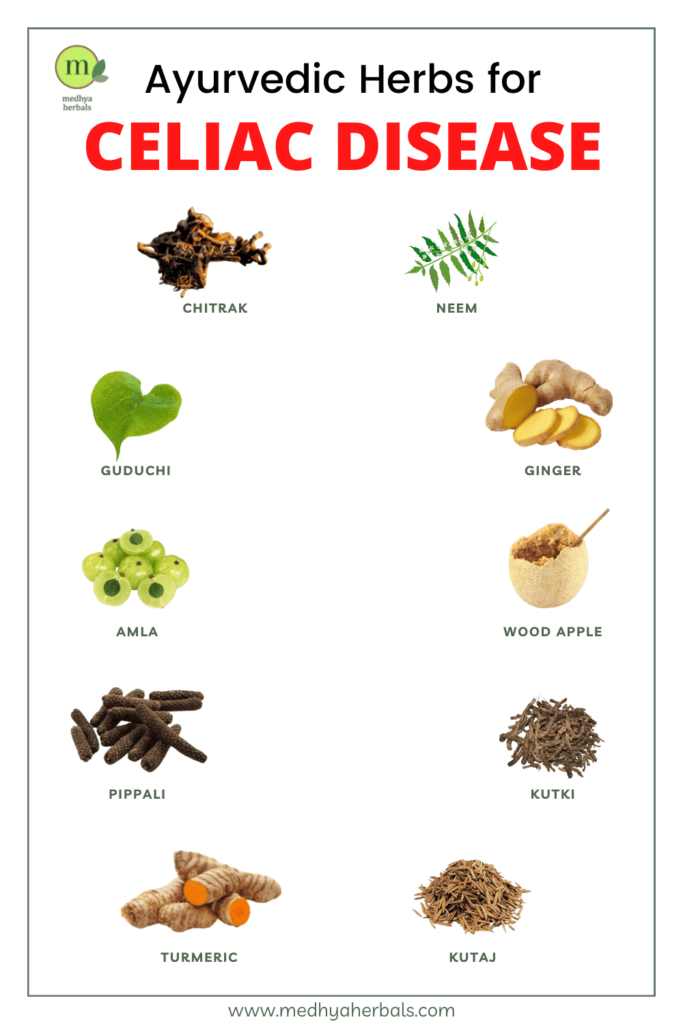 Ayurvedic Herbs for Gluten Intolerance