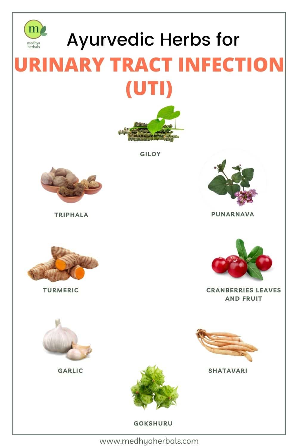 urinary-tract-infection-uti-ayurvedic-treatment-diet-natural-remedies