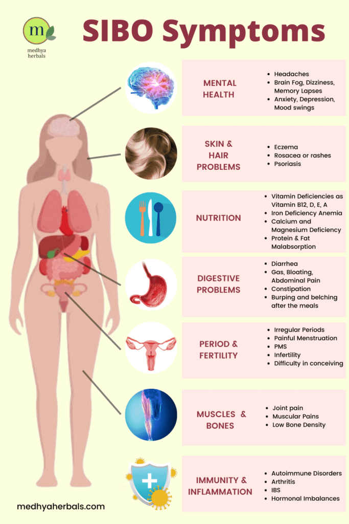 SIBO Symptoms-Small Intestinal Bacterial Overgrowth - Ayurvedic Natural Treatment-min