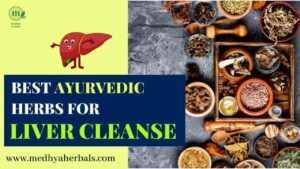Ayurvedic Herbs for Kidneys and Liver Cleanse-min