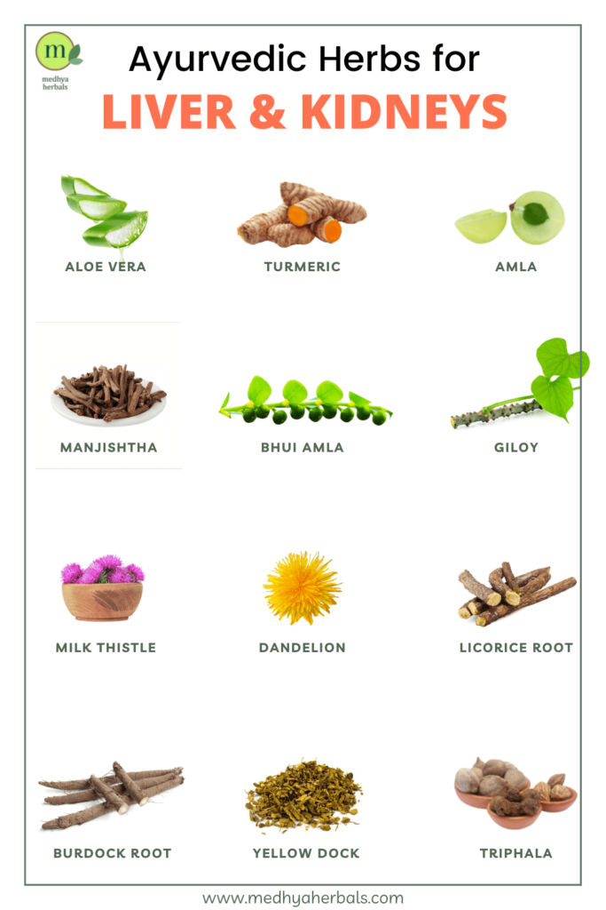 Ayurvedic Herbs for Liver & Kidneys-min