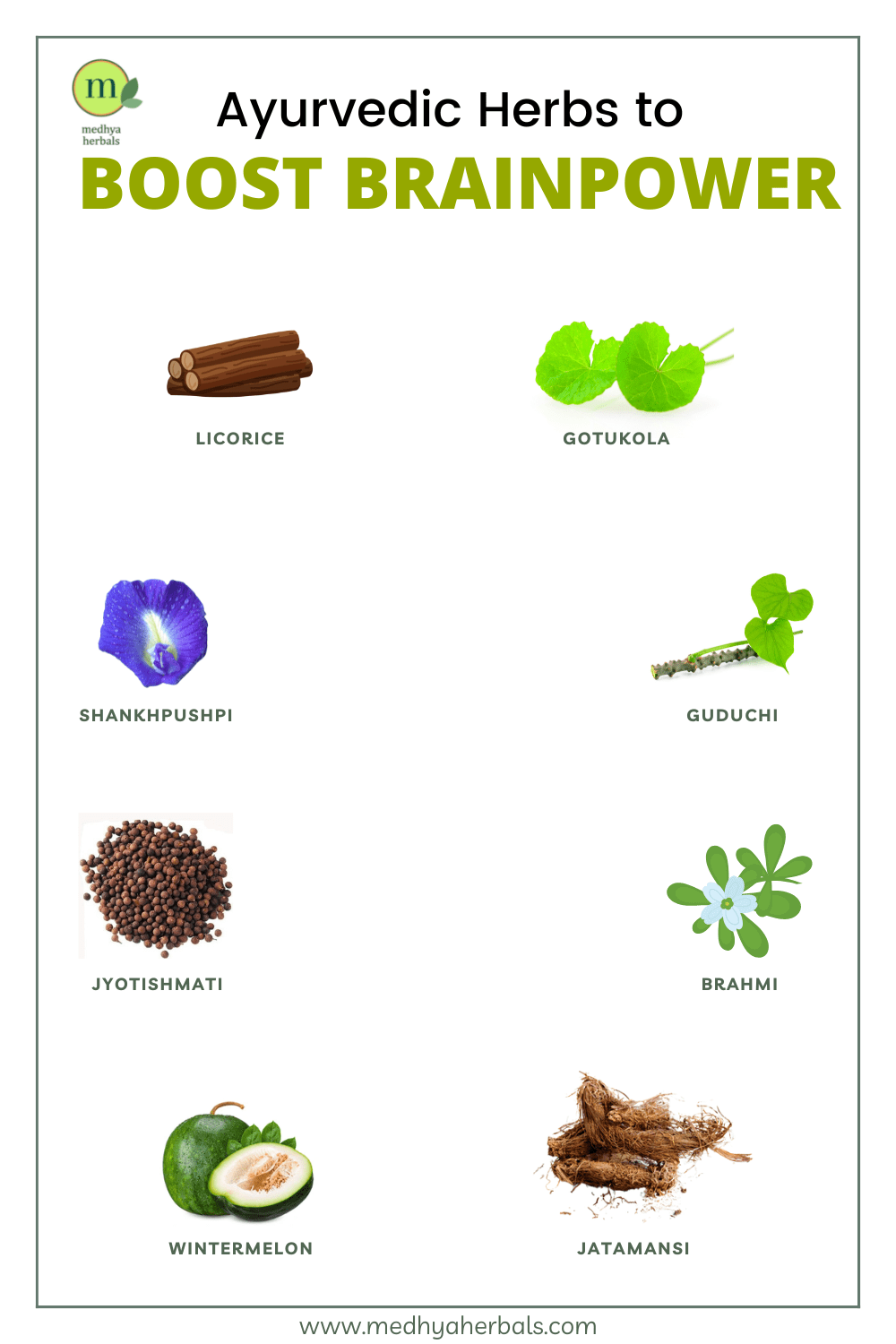 Medhya Rasayana 8 Nootropic Herbs to Boost Brain Power and Memory