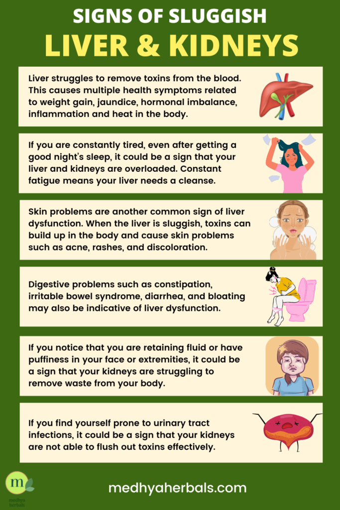 Signs of Sluggish Liver & Kidneys-min