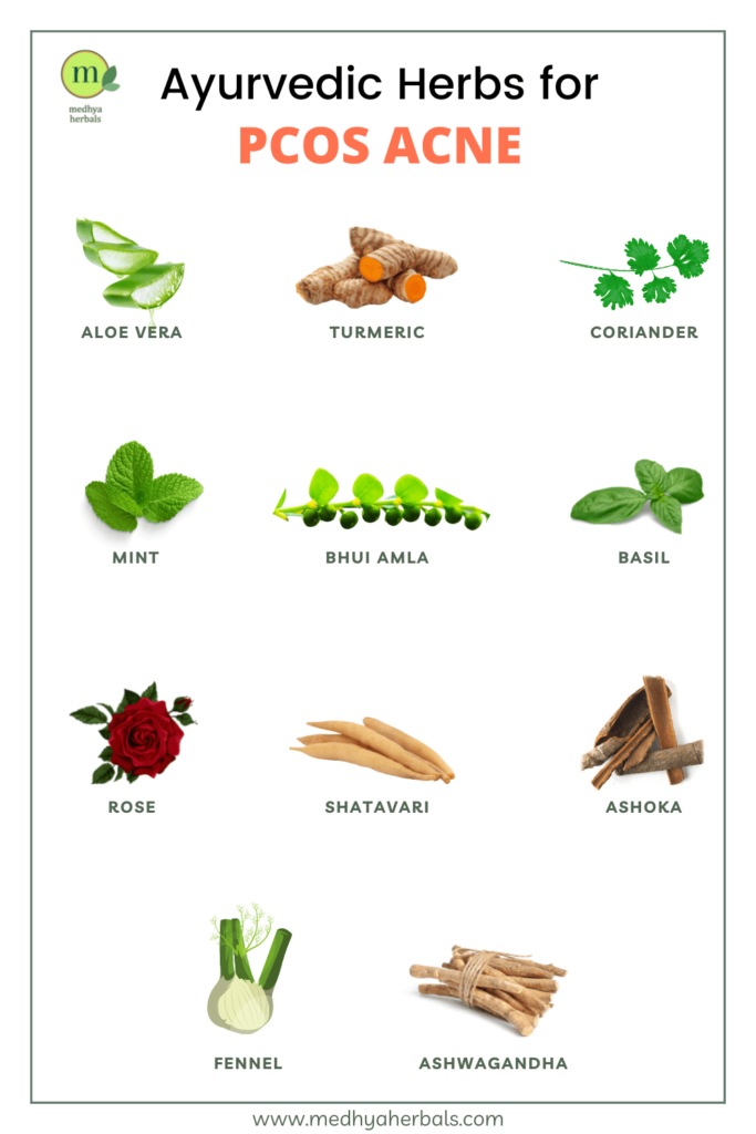 Ayurvedic herbs for treatment of PCOS Acne-min