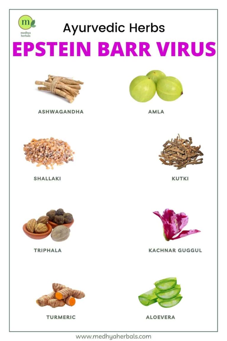 The Best Natural Treatment for Epstein Barr Virus (Infectious ...