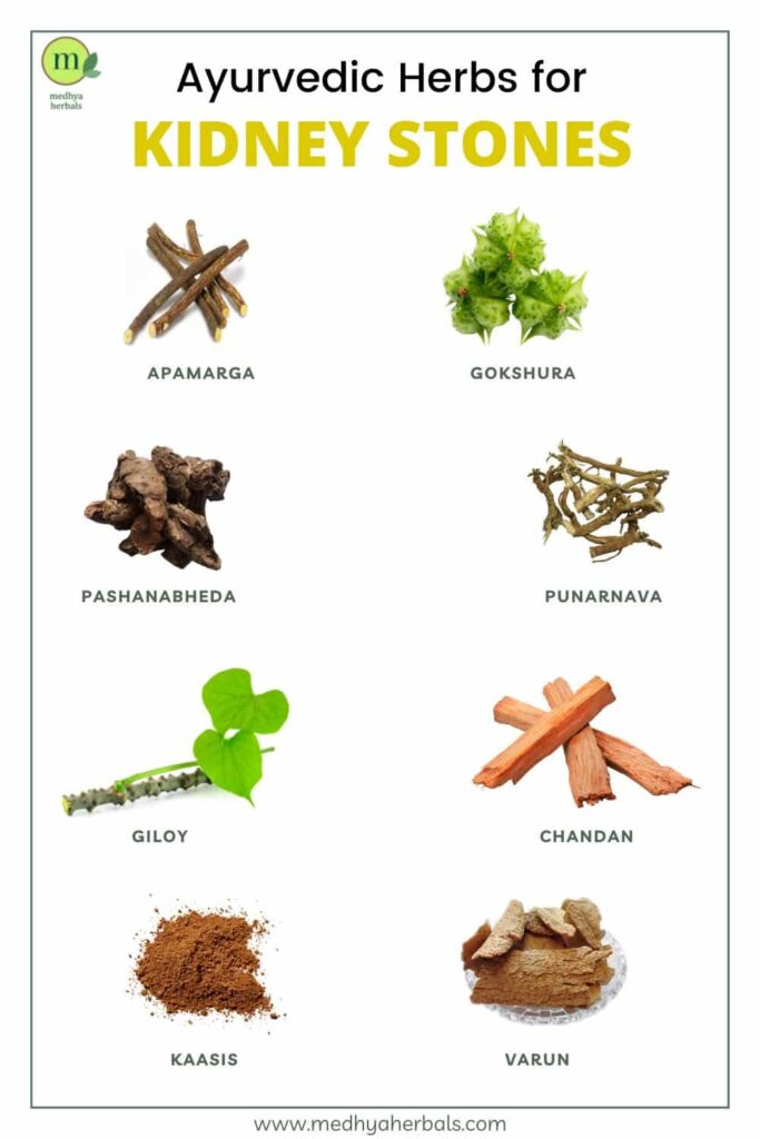 Ayurvedic Herbs for Kidney Stones-min