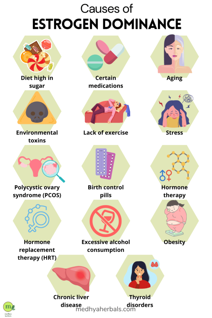 Causes of Estrogen Dominance-min