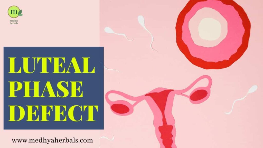 8 Best Natural Ways to Luteal Phase Defect Medhya Herbals