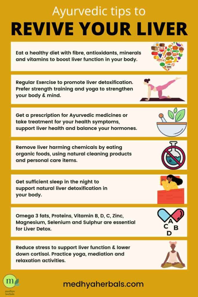 Ayurvedic Tips Ayurvedic Tips to Revive Your Liver - Treat High Liver Enzymes