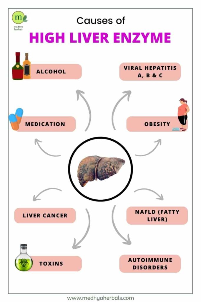 Causes of High Liver Enzymes