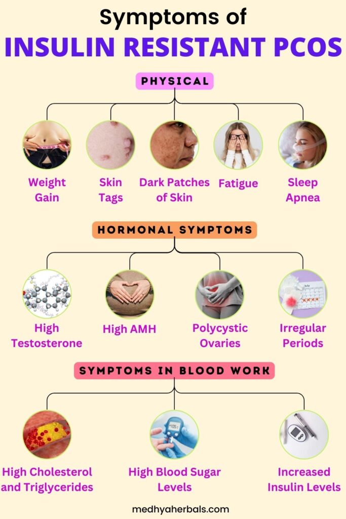 Symptoms of Insulin Resistant PCOS