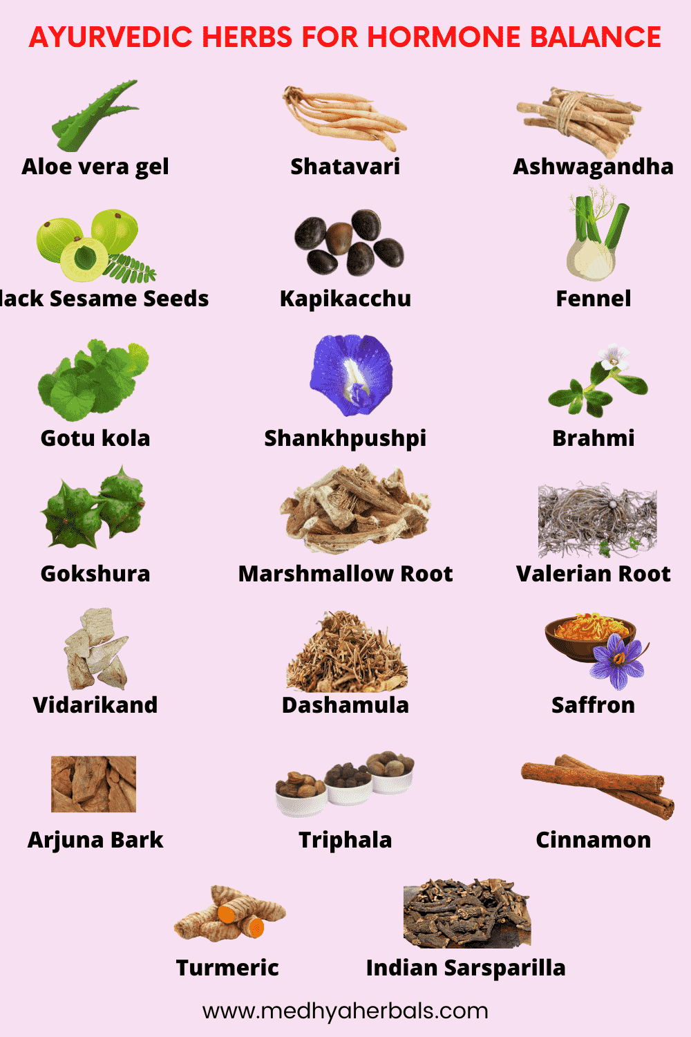 Ayurvedic-Herbs-to-Balance-Hormones-Naturally-min.png