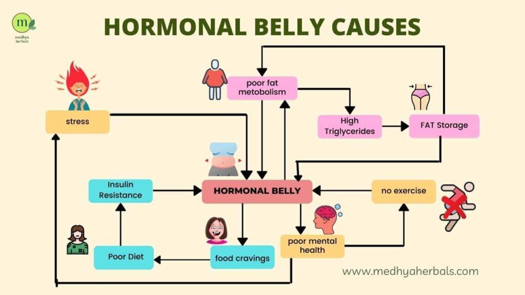 Hormonal Belly Causes-min