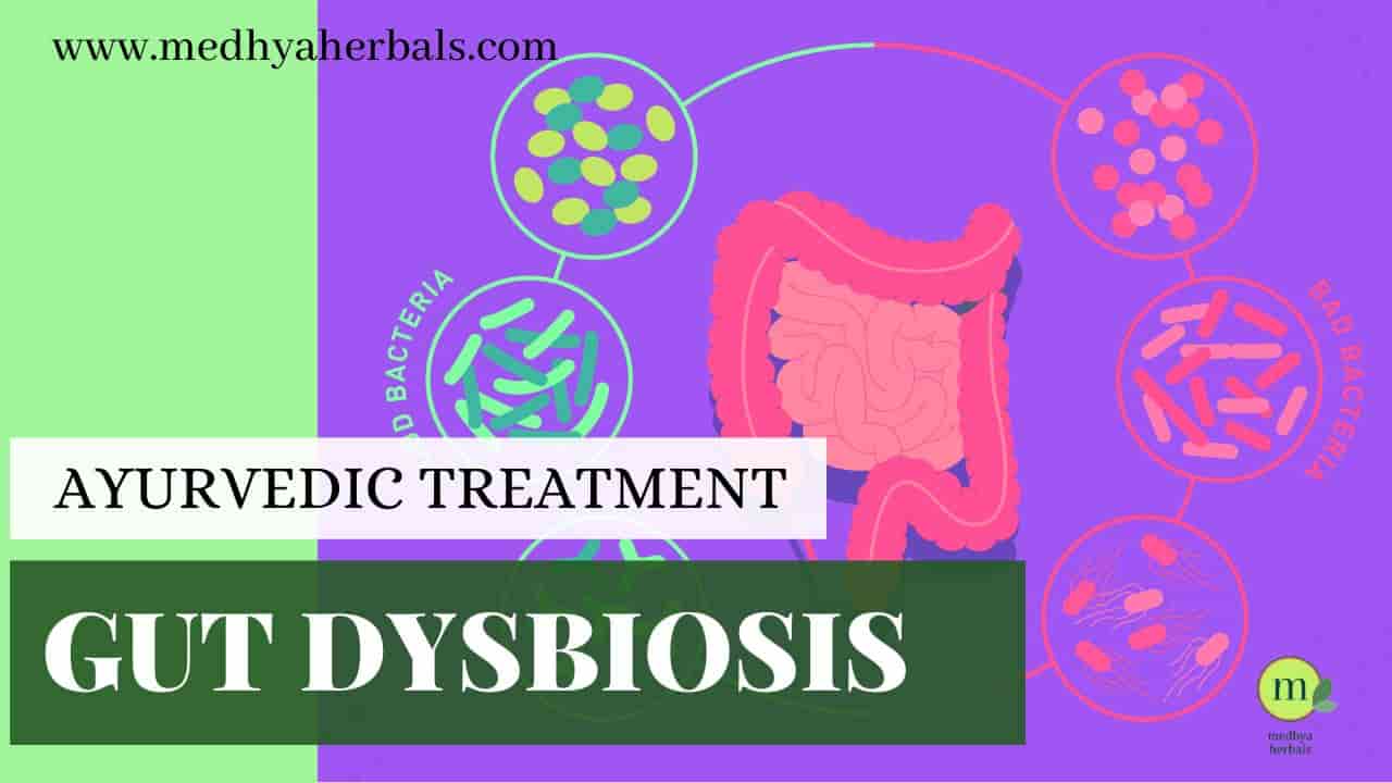 Gut Dysbiosis Treatment