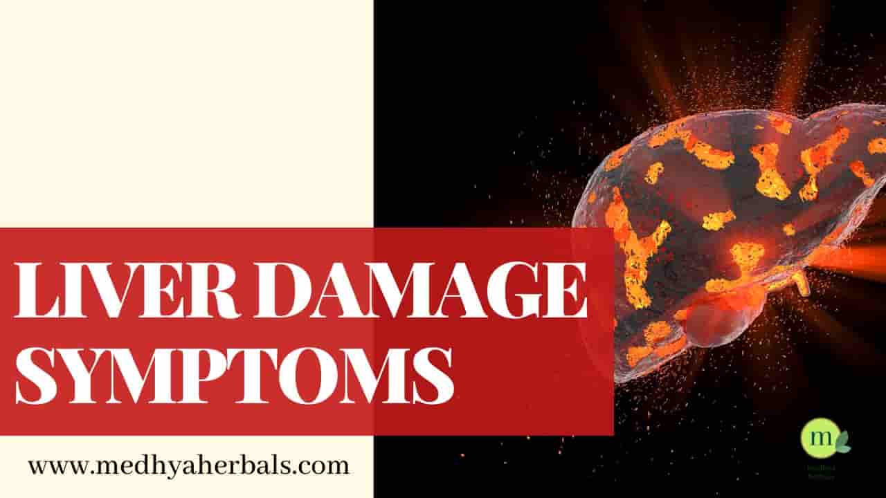 Liver Problems Symptoms-Signs of Liver Damage-min
